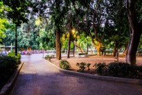 1st Festival of Volunteering & Social Solidarity in Georgiadis Park