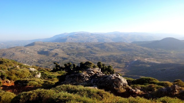 Stroumpoulas vegetation