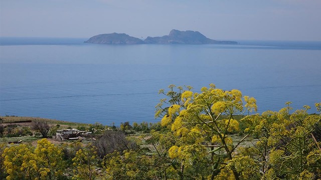 On the way from Agia Galini to Ai Giorgis