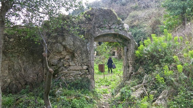 Haunted ruins hidden under a curtain of ivies