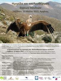 Release of wild birds in Mount Yuchtas